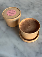 Tiramisu Cup