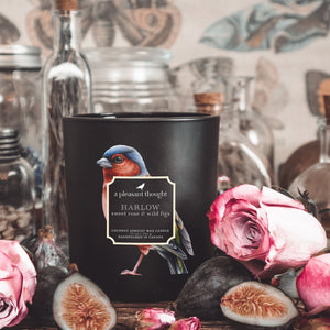Harlow | Sweet Rose & Wild Figs | Raven Candle